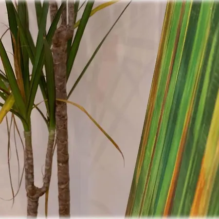 Altbaucharme! 2zimmer, Zentral Und 24h Check-in