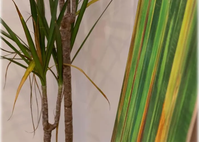 Altbaucharme! 2zimmer, Zentral Und 24h Check-in